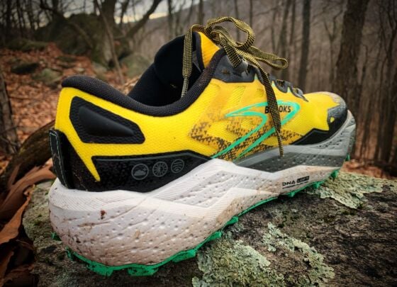 Picture of Brooks Caldera 7