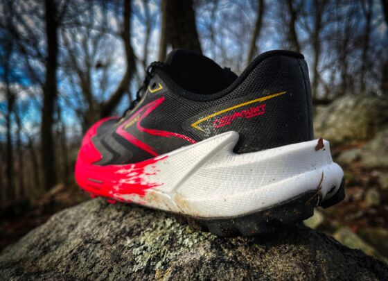 Picture of Brooks Catamount 3