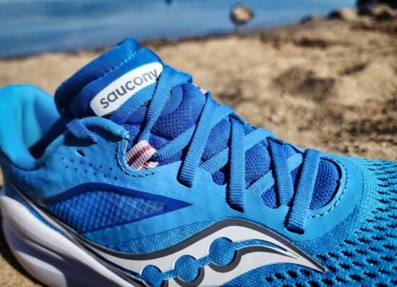 Picture of Saucony Omni 22