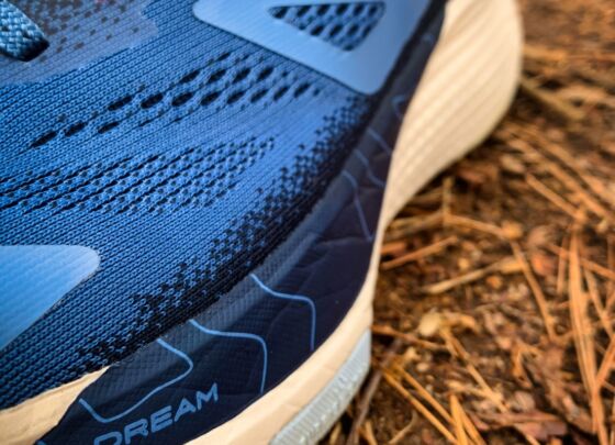 Picture of The North Face Altamesa 500