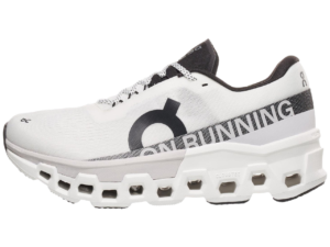 This is a picture of the On Cloudmonster 2